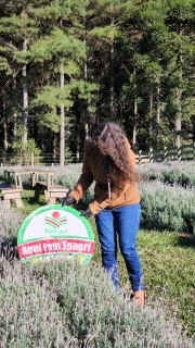 Epagri apoia novo empreendimento turístico com flores em Otacílio Costa 6 2e65aa0a 671d 4912 8bff cbd0d8a56ec7 1