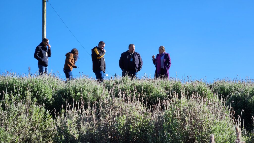 Epagri apoia novo empreendimento turístico com flores em Otacílio Costa 4 90ae9c93 87ea 4181 8289 3976d827cac4