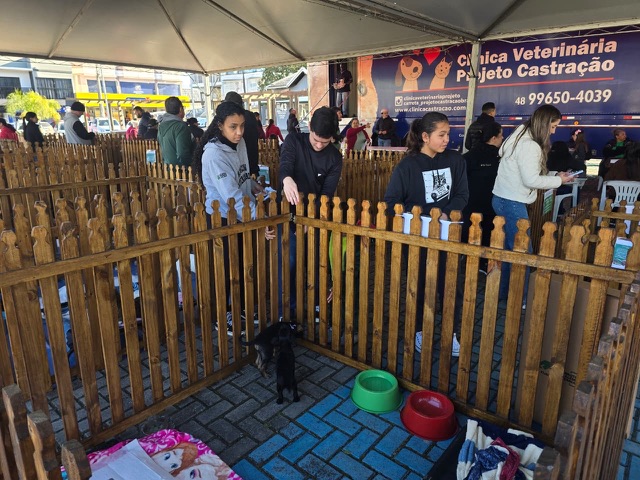 Feira de Adoção e Castração mobiliza comunidade em Otacílio Costa 10 1740bf50 c5c3 4d50 a4b1 54b217be7d18
