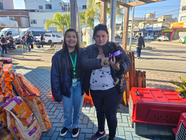Feira de Adoção e Castração mobiliza comunidade em Otacílio Costa 7 3460bf68 0502 4a73 bd2f 9d58e2450792
