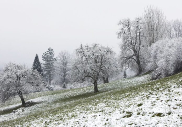 Neve em Santa Catarina