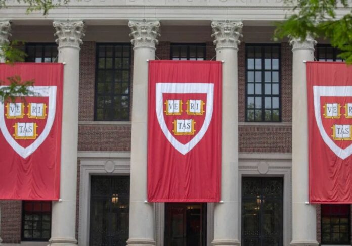 catarinense conquista vaga em Harvard