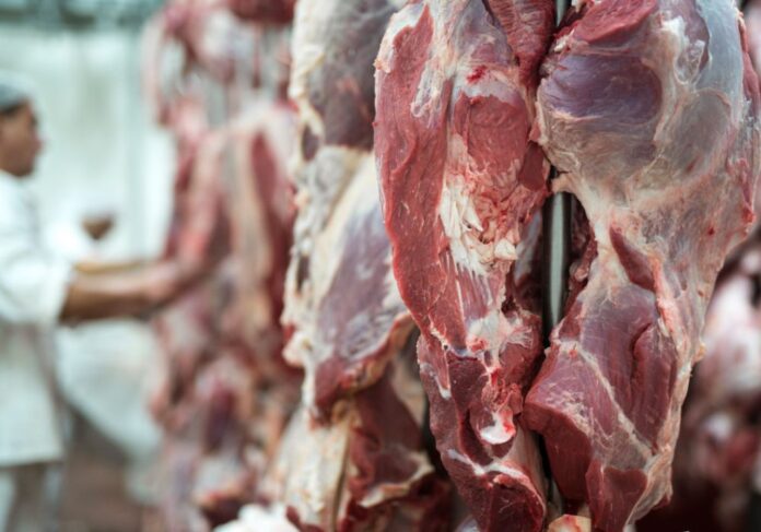 exportação de carne bovina