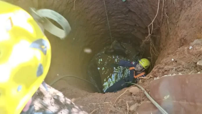 Boi cai em poço em Ipira, resgate bem-sucedido pelo Corpo de Bombeiros