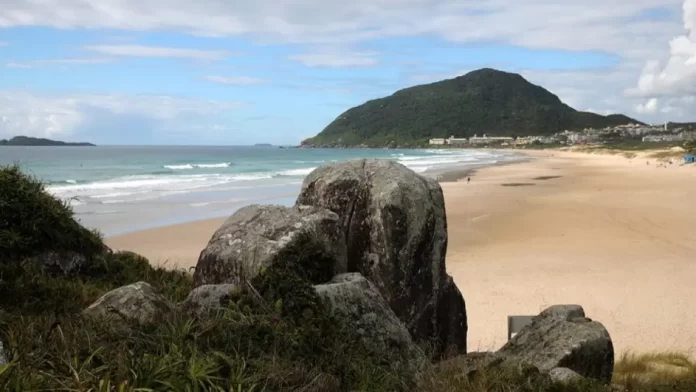 Tatuagens podem identificar homem morto em mala na Praia do Santinho