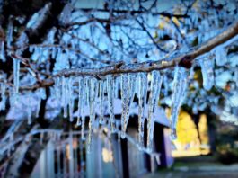 Frio intenso marca amanhecer em Santa Catarina; Bom Jardim da Serra registra -9,1°C e Otacílio Costa chega a -2,3°C