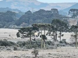 Frio intenso coloca Otacílio Costa e Palmeira entre as cidades mais geladas de Santa Catarina