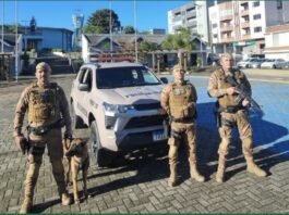 Operação conjunta entre Polícia Militar e Polícia Civil apreende arma de fogo em Otacílio Costa