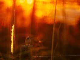 Temperaturas acima de 30°C marcam o fim de semana em Santa Catarina